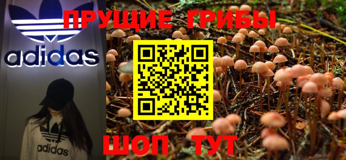 Псилоцибиновые грибы Magic Shrooms  Вход с VPN  Псилоцибиновые грибы ЛСД  Среднеуральск 